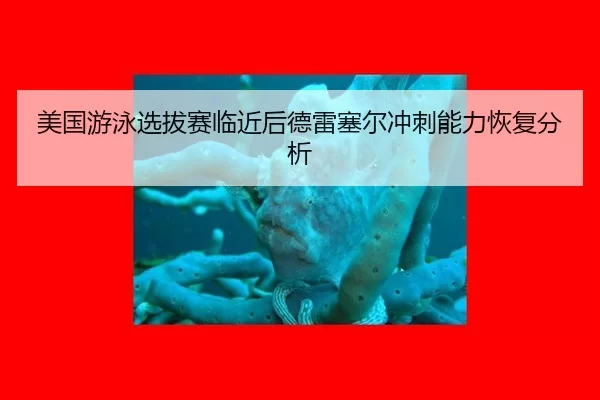 美国游泳选拔赛临近后德雷塞尔冲刺能力恢复分析