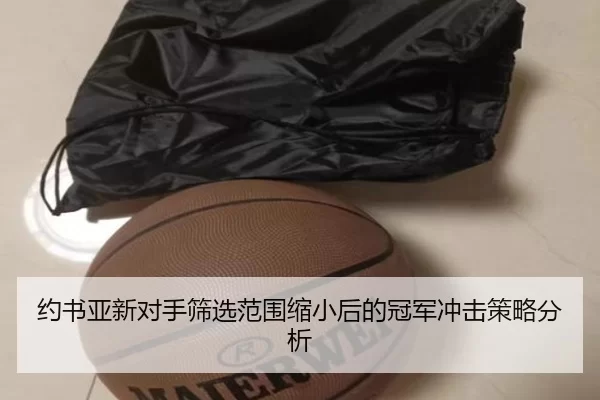 约书亚新对手筛选范围缩小后的冠军冲击策略分析